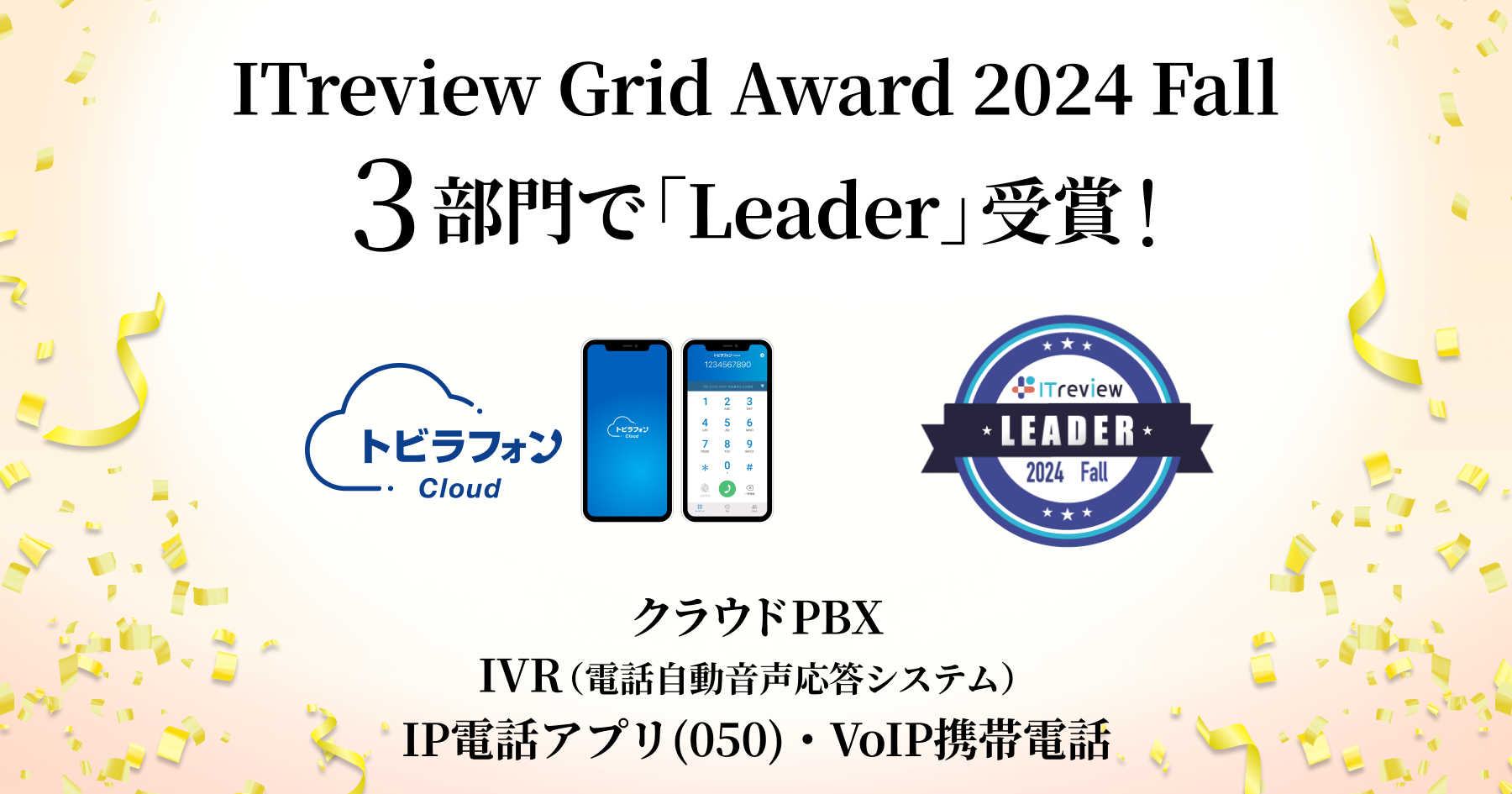 ITreview Grid Award 2024 Fall