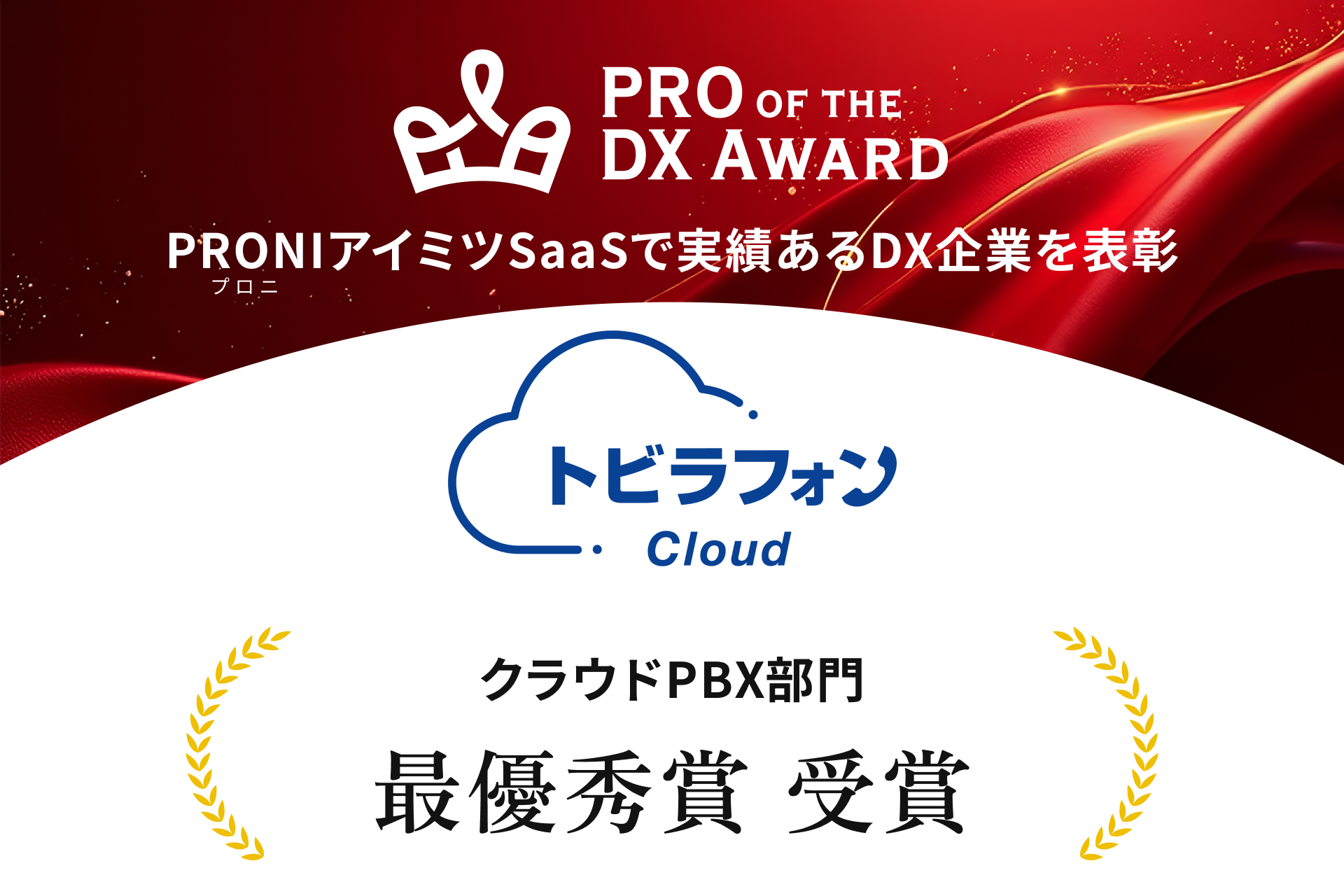 PRO of the DX Award 2026